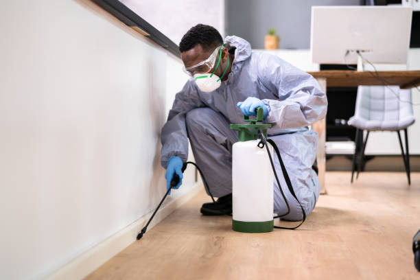 Best Pest Prevention Services  in Humboldt Hill, CA